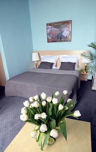 Aparthotel Ingo 3*